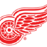 RedWingsTeamDoc